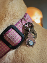 Load image into Gallery viewer, Jeff the Pigeon Copper &amp; Abalone Charm