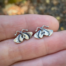 Load image into Gallery viewer, Moth Stud Earrings {B}