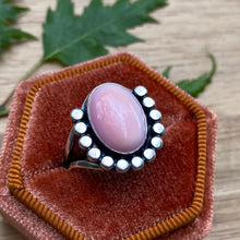 Load image into Gallery viewer, Queen Conch Shell Statement Ring / Size 8