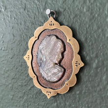 Load image into Gallery viewer, Mother of Pearl Cameo Copper &amp; Brass Wall Hanging {B}