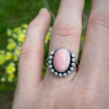 Load image into Gallery viewer, Queen Conch Shell Statement Ring / Size 8