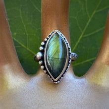 Load image into Gallery viewer, Labradorite Statement Ring / Size 8 - 8.25