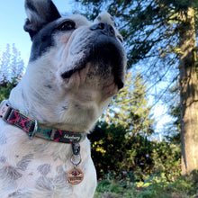 Load image into Gallery viewer, Custom Pet Tag