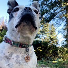 Load image into Gallery viewer, Custom Pet Tag